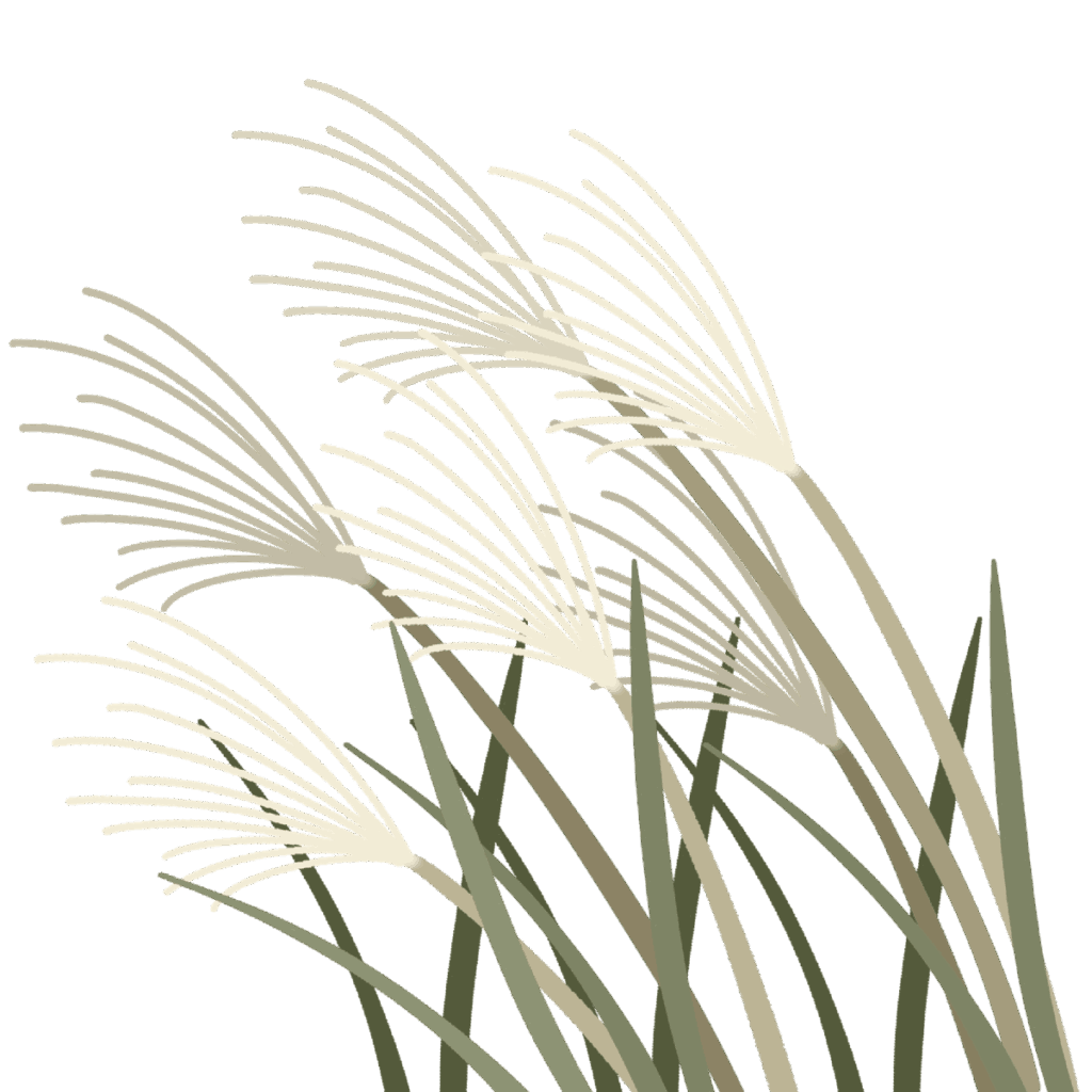 ススキのイラスト｜行事や季節の印刷物に使える草花素材