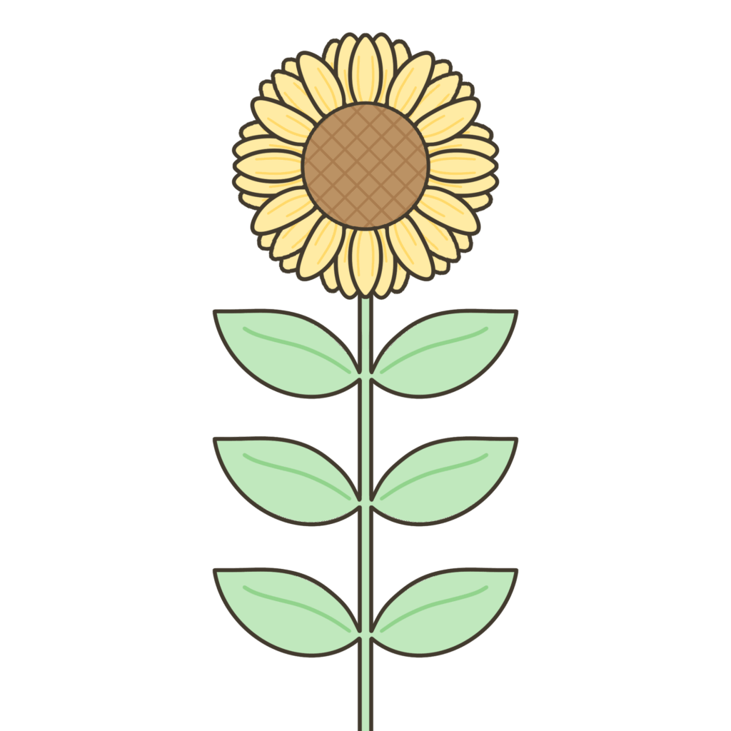 ヒマワリのイラスト｜行事・季節の草花