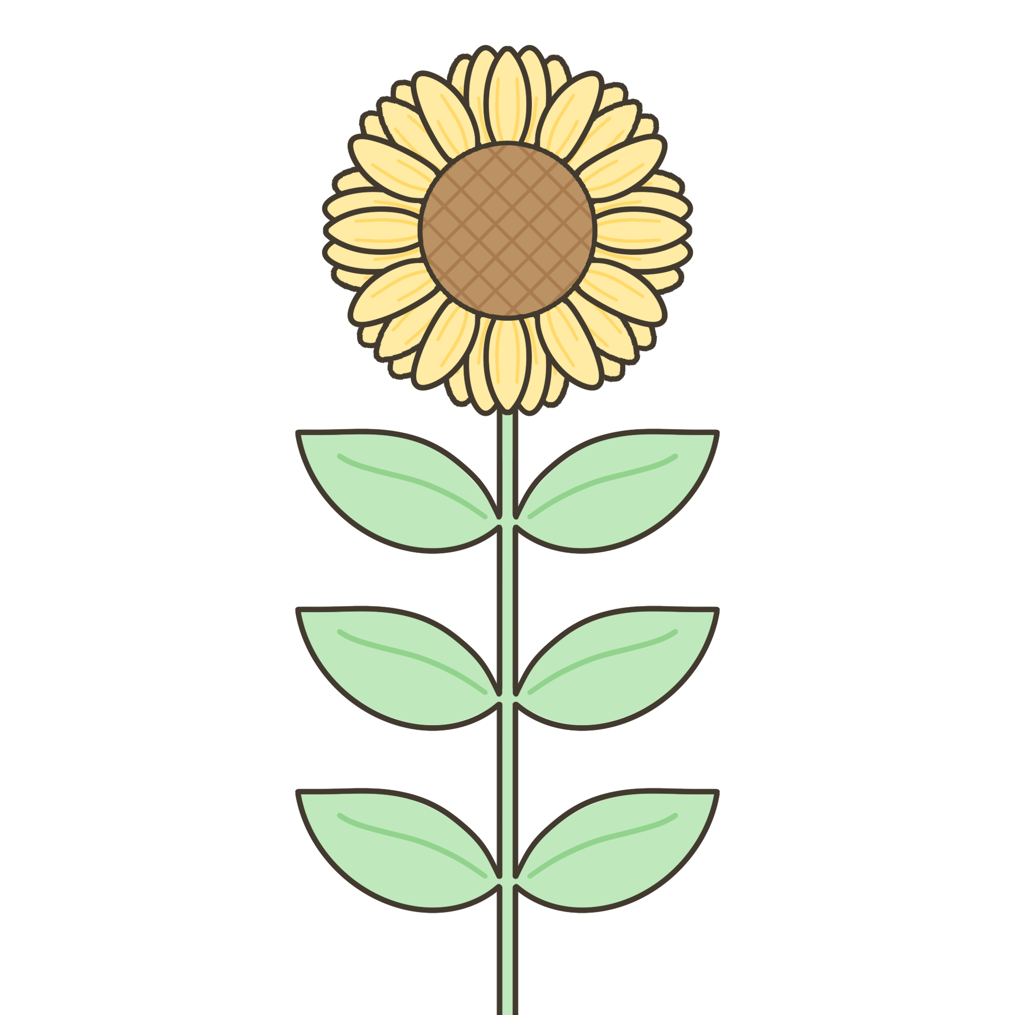 ヒマワリのイラスト｜行事・季節の草花