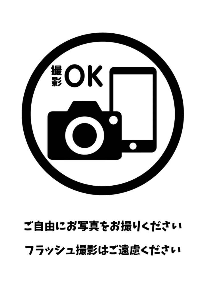 撮影OKの使用例(フラッシュNG）のイラスト｜掲示物や教材づくりに使える素材