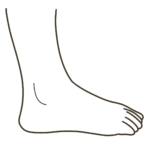 足 側面（小指側）外観 右足のイラスト｜図解や資料作成に使える素材