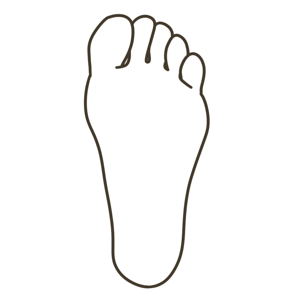 足底(足の裏側)外観 左足のイラスト|図解や資料作成に使える素材