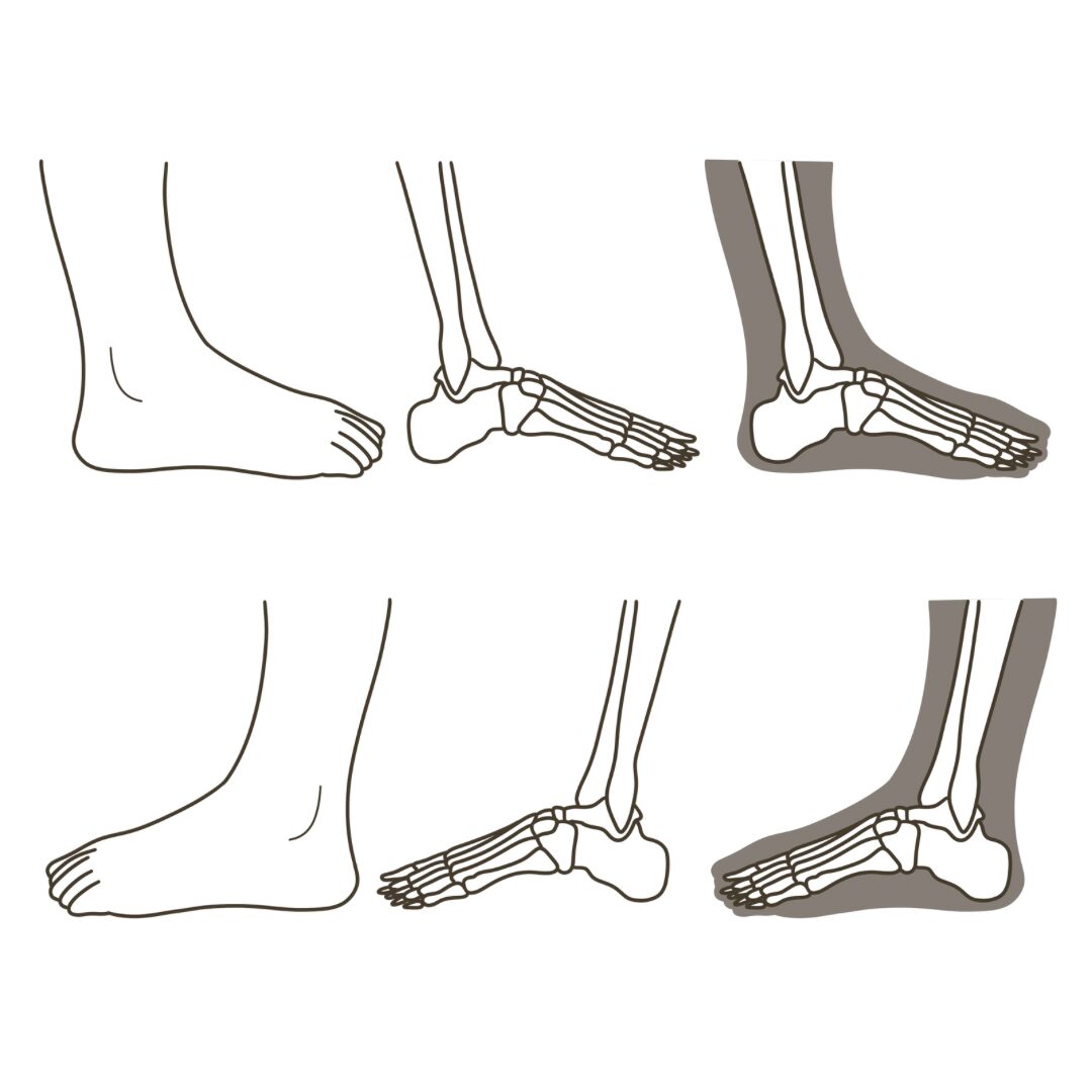 足 側面（小指側）のイラストのアイキャッチ｜図解や資料作成に使える素材