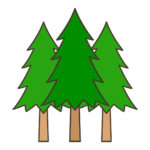 スギの林のイラスト｜自然や学習教材・掲示物に使える素材